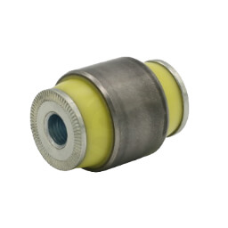 VARIETY OF SIBERIAN BUSHING 22-06-4206